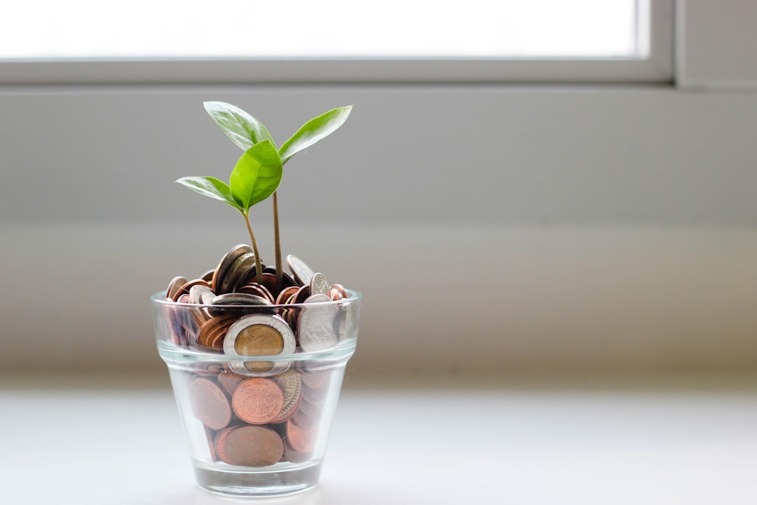 Planejamento Financeiro Pessoal